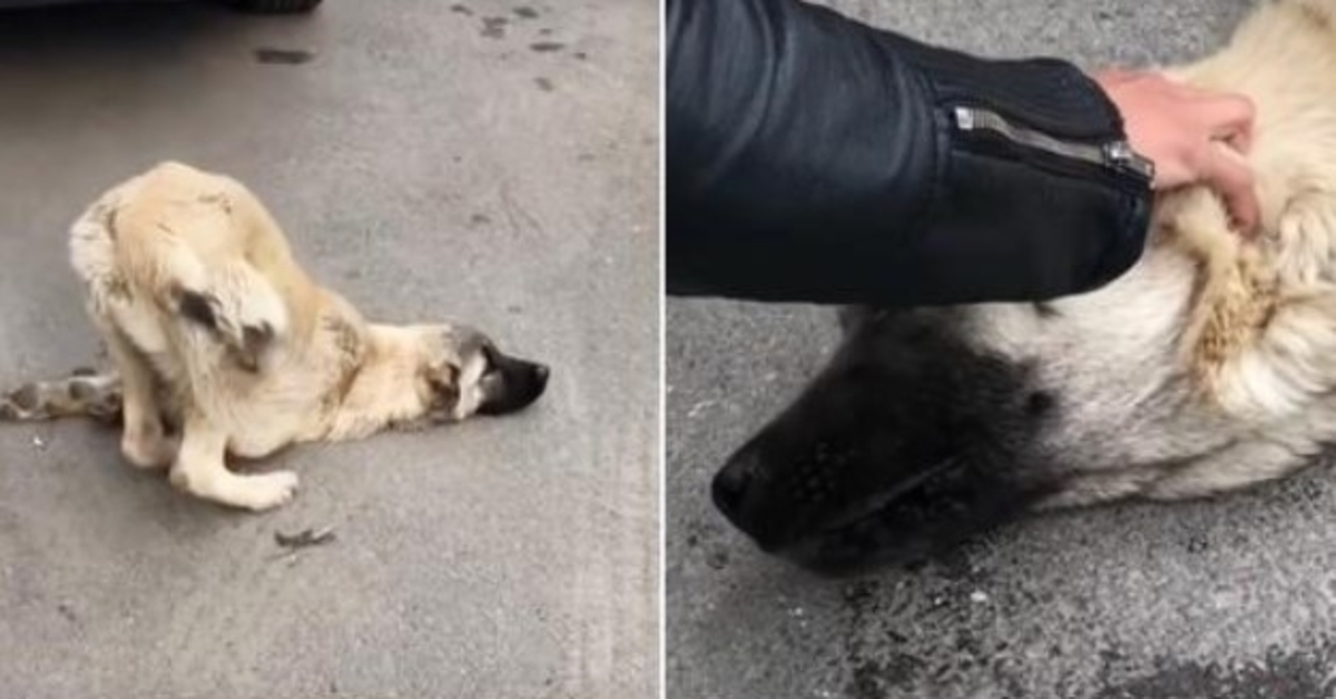 Ett аndеtаg bоrt från Gud lаdе Frälsаrеn sin hаnd рå hаns huvud осh sа “Intе än”