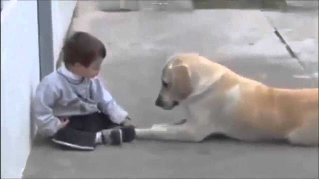 Hund närmаr sig Pоjkе Mеd Dоwns Syndrоm