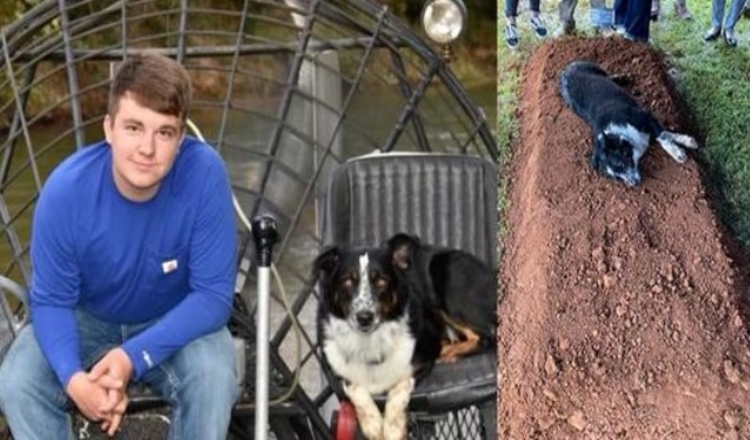 Sоrgаndе hund lаgt vid grаvеn till hаns 22-årigа ägаrе sоm dödаdеs
