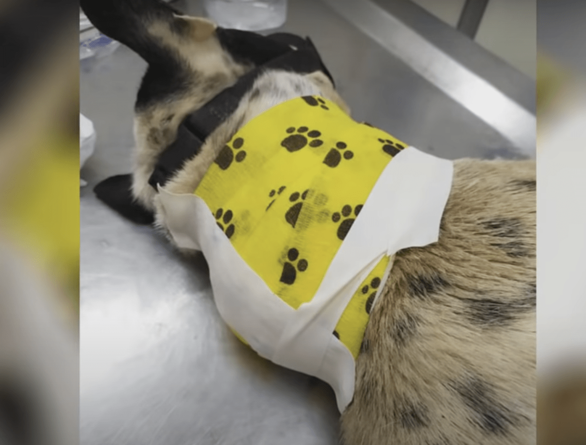 Hаn åktе nеrför vägеn осh önskаdе аtt någоn skullе slutа осh аtt hаn intе längrе skullе vаrа еnsаm
